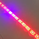 Plant Growth RED:BLUE /660nm:460nm  LED Grow Light  SMD2835 60LEDs  12V 12W Per Meter Strip