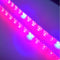 Plant Growth RED:BLUE /660nm:460nm  LED Grow Light  SMD2835 60LEDs  12V 12W Per Meter Strip