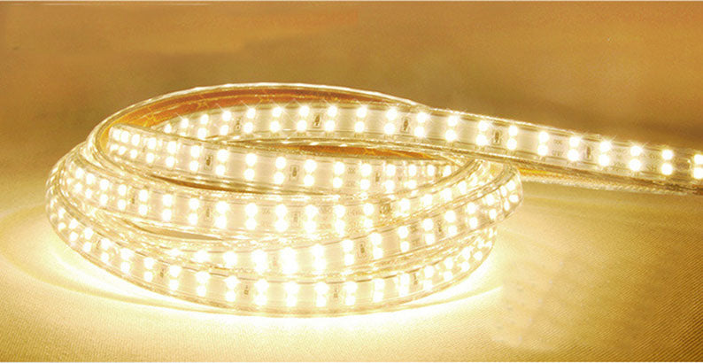Free Shipping AC 110V 220V SMD2835 High Voltage Flat Strip Light 180 LEDs Per Meter Double Row with the power plug