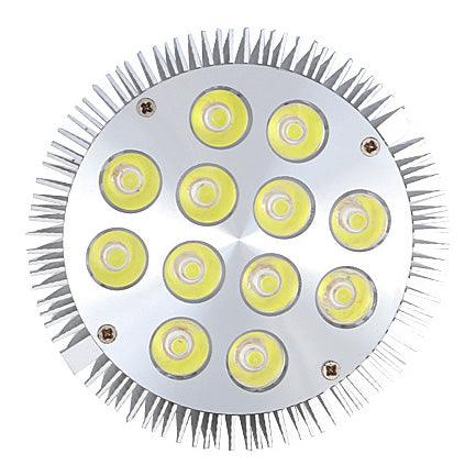 12W (12x1W) PAR38 LED Lamp with E27 Edison Screw Base 90W Equivalent 100-240V AC Silver Housing Indoor Type