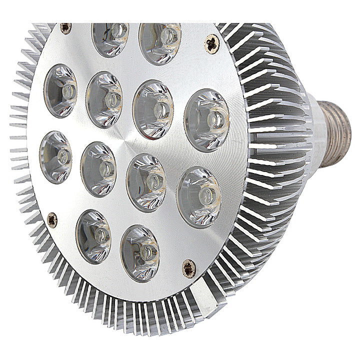 12W (12x1W) PAR38 LED Lamp with E27 Edison Screw Base 90W Equivalent 100-240V AC Silver Housing Indoor Type