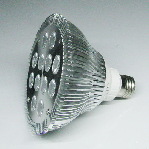 12W (12x1W) PAR38 LED Lamp with E27 Edison Screw Base 90W Equivalent 100-240V AC Silver Housing Indoor Type