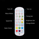 5V-24V DC Wireless ELK6ARGB Bluetooth Music Symphony Controller with Two Outputs for RGB Color Changing LED Flexible Strip Lights