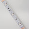 365nm 370nm SMD5050-150 12V 3A 36W UV LED Strip Light Ideal for Curing, Currency Validation