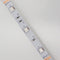 395nm 405nm Black Light SMD5050-150 12V 3A 36W UV (Ultraviolet) LED Strip Light