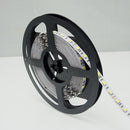 395nm 405nm Black Light SMD5050-300 12V 6A 72W UV (Ultraviolet) LED Strip Light  Flex