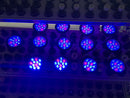12W LED Grow Light Lamp E27 Base 2 Band Wavelenth Mix 12 LED Growing Bulbs For Stocky Plants At Seedlings Stage of Growth, Germinating Vegetable Seeds, Mini Potted Succulent/Faux Plant
